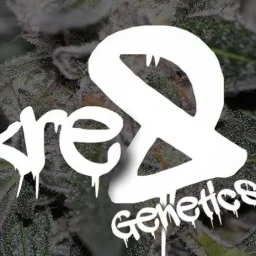 Kre8 Genetics
